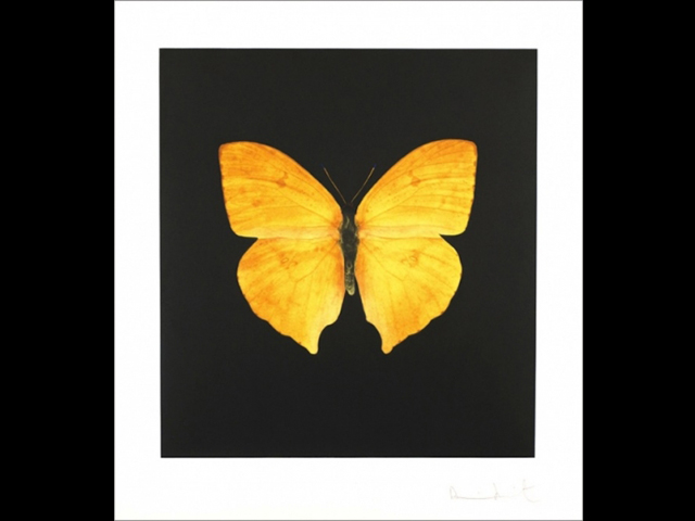 Rise Art: Interview with David Smith